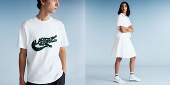 New Collection