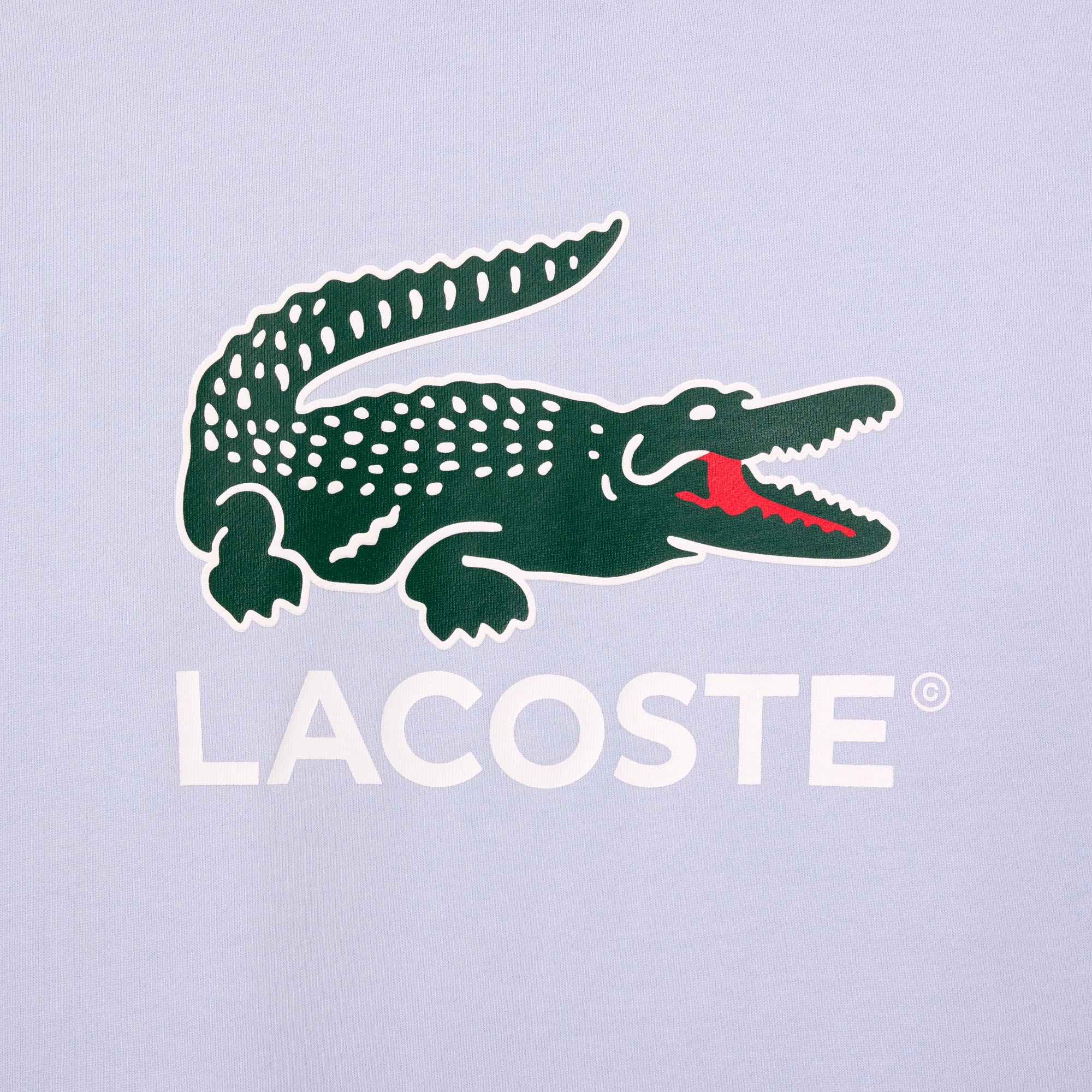 エッセンシャルアイコングラフィッククルーネックスウェット