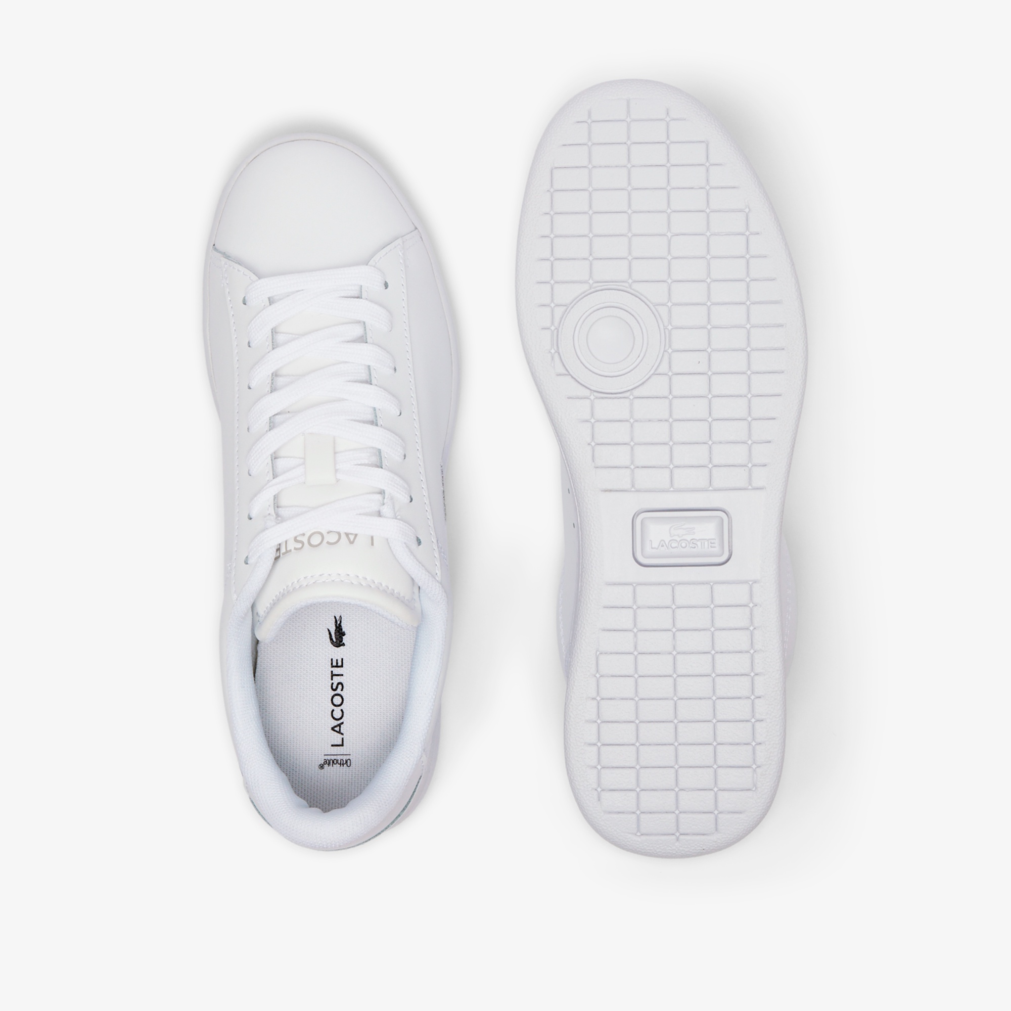 レディース CARNABY SET 224 10 SFA