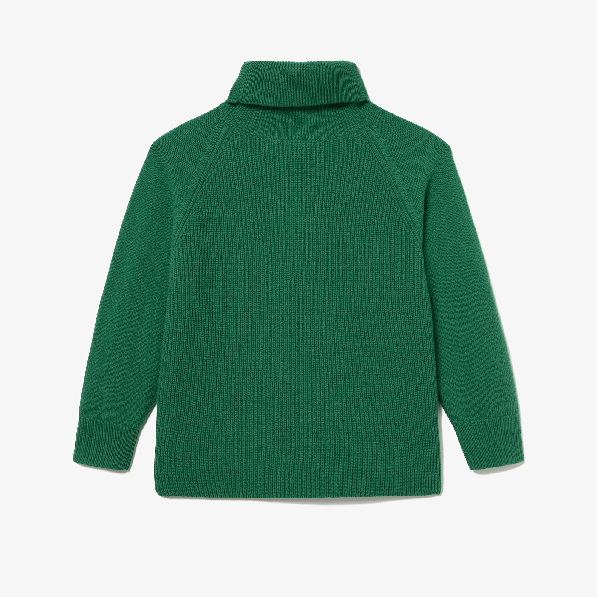 ミドルゲージタートルネックニットセーター