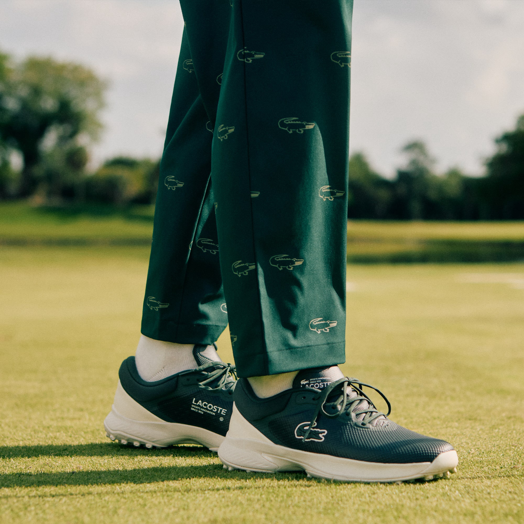 メンズ GOLF POINT 224 1 SMA