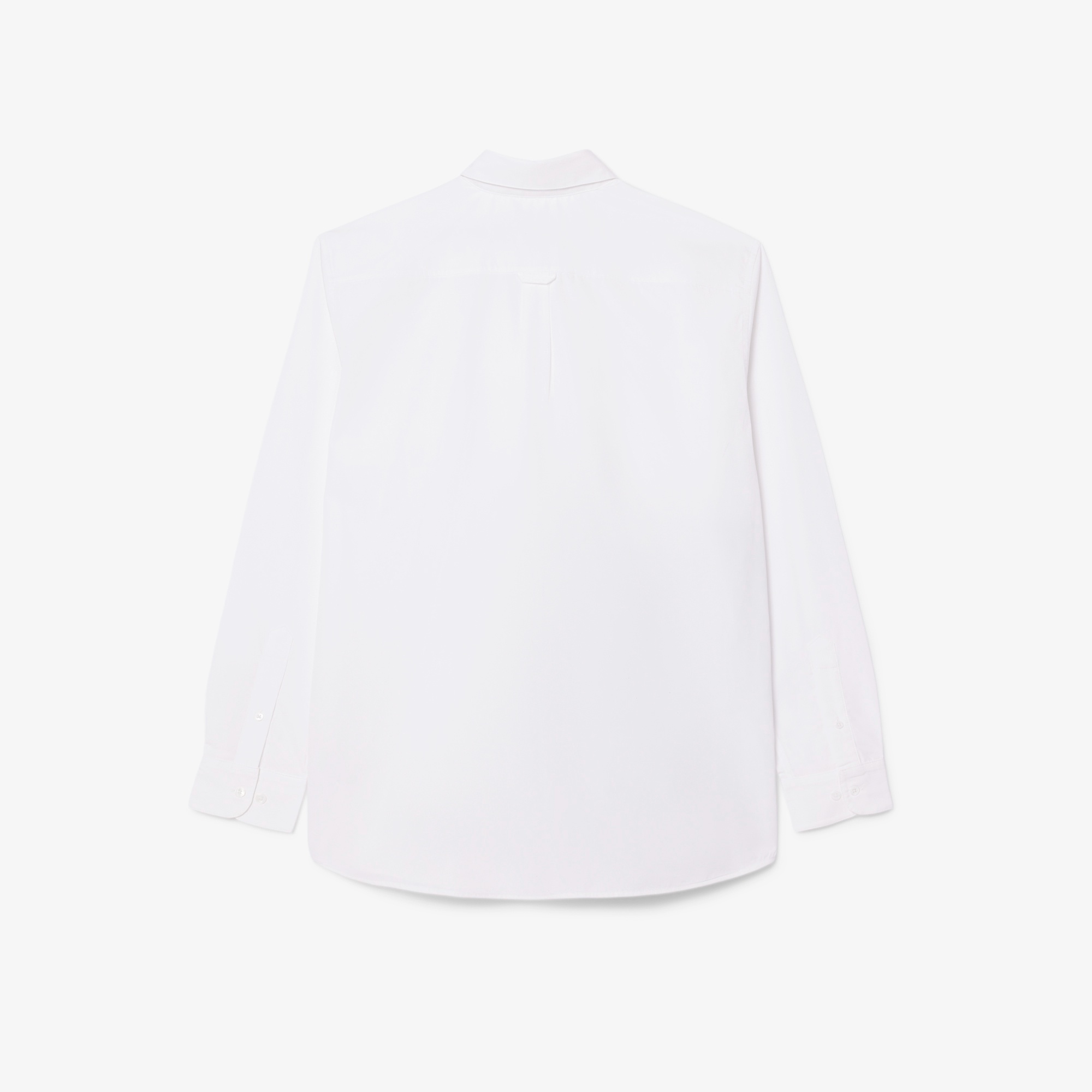 『FW24 Fashion Show』 フォトプリントボタンダウンシャツ