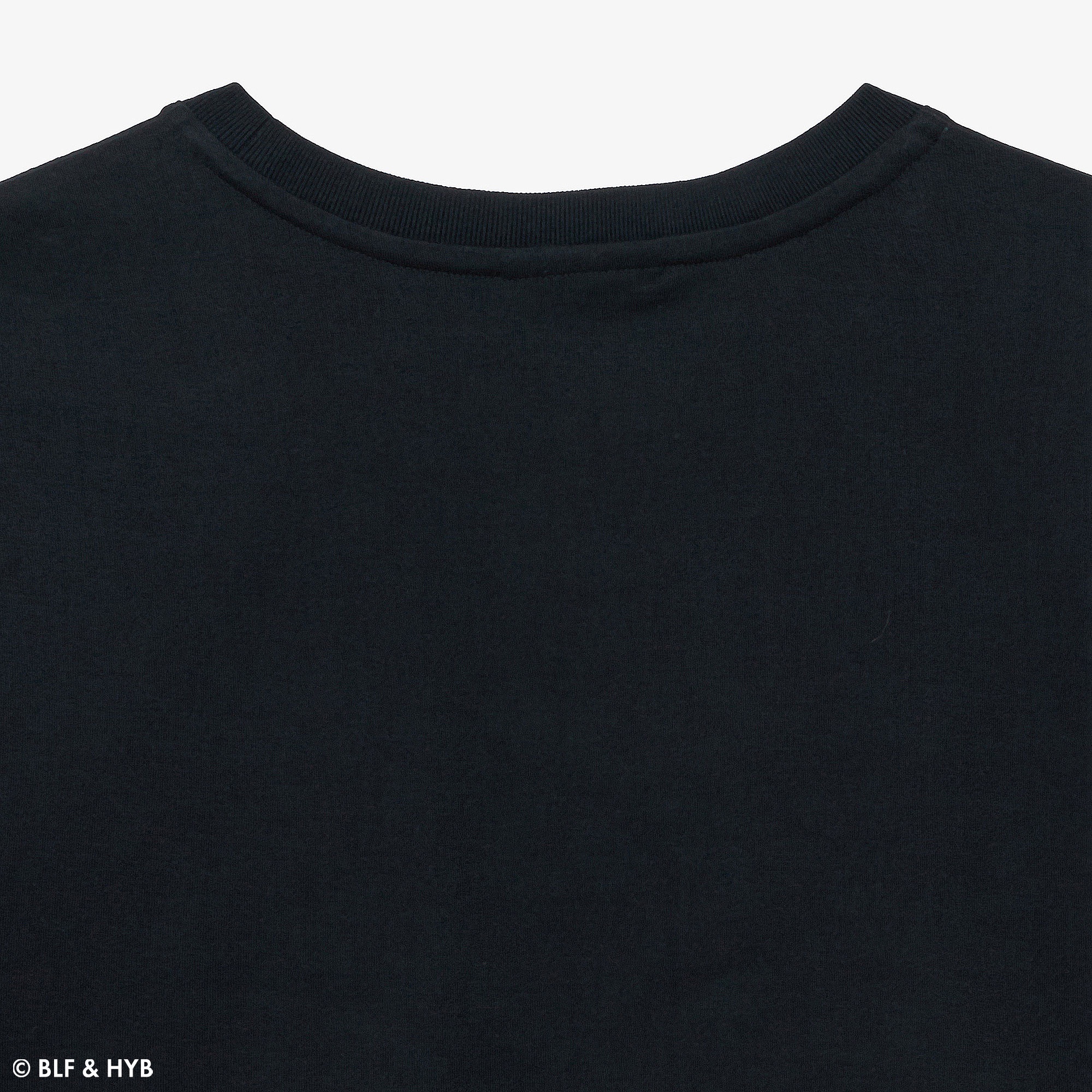 発泡プリントクロップド Tシャツ