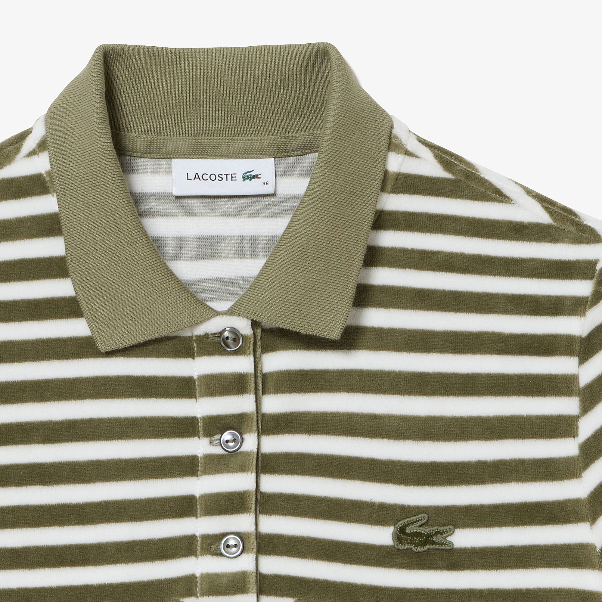 ベロアボーダーポロシャツ