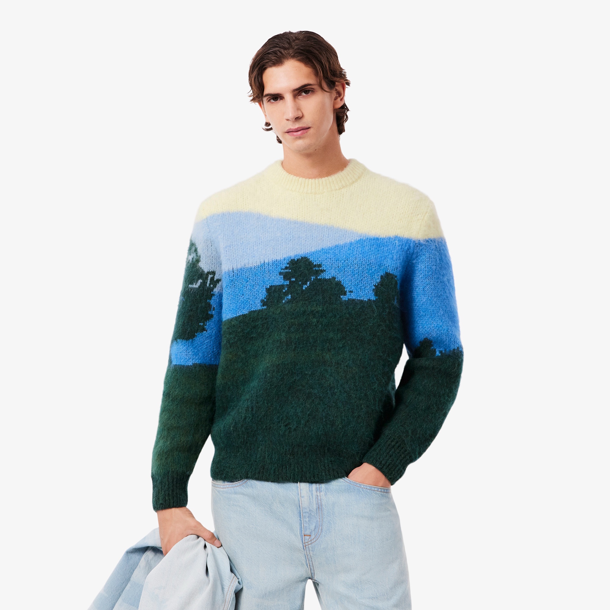 シャンタコランドスケープジャカードセーター