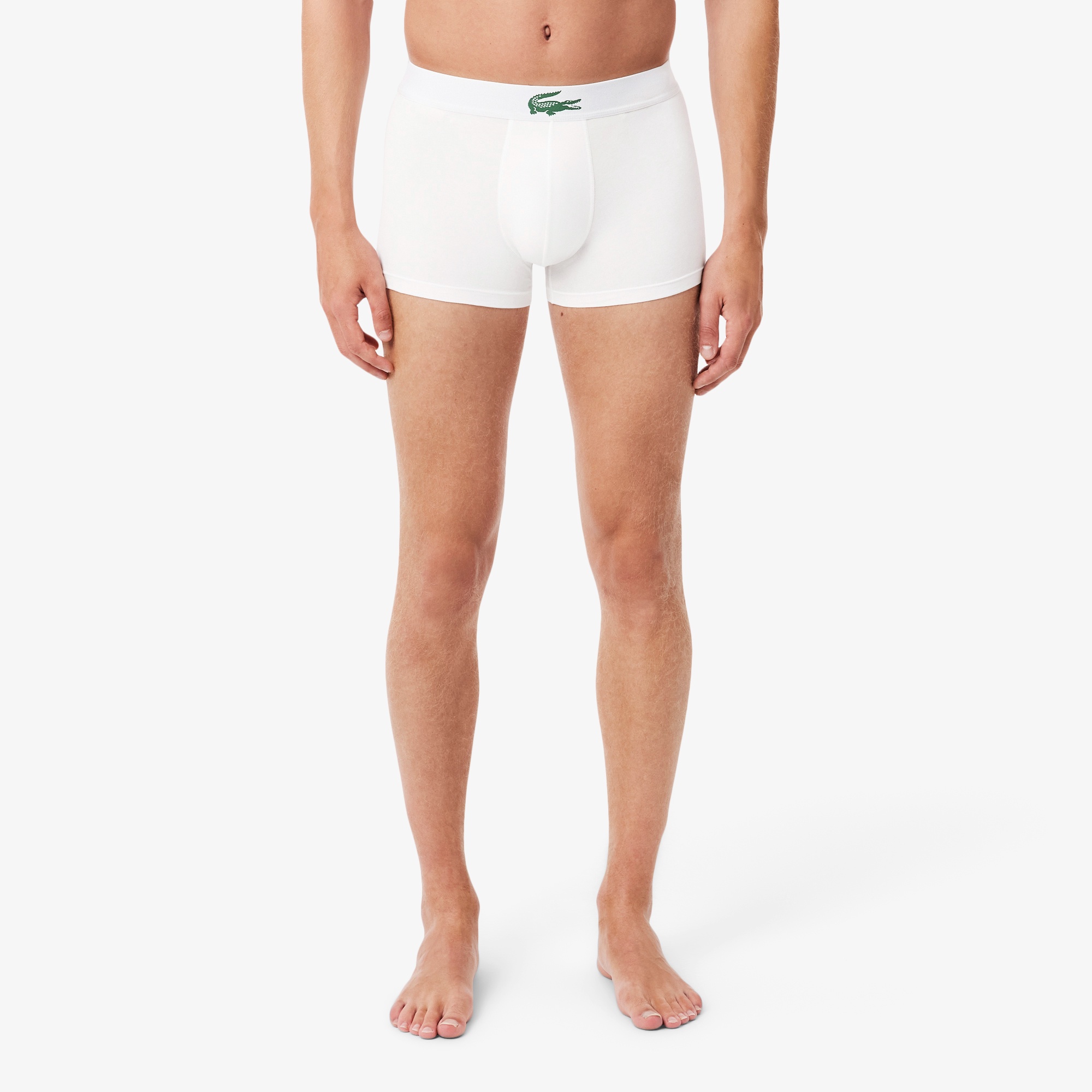 コントラストワニロゴウエストバンドストレッチジャージトランクショーツ 3P