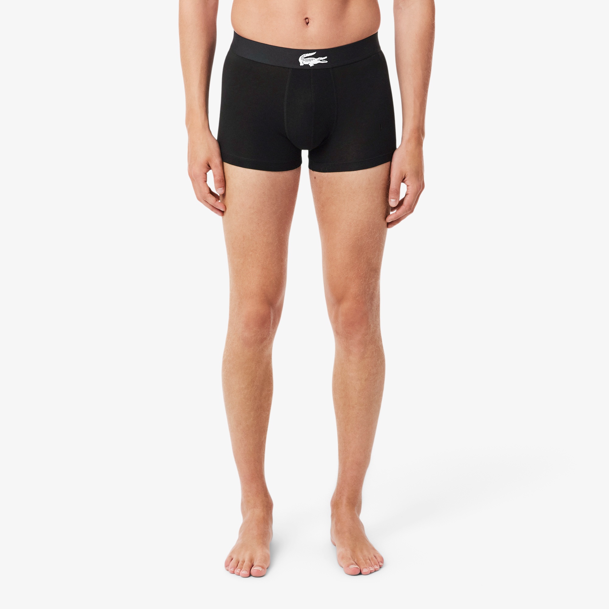 コントラストワニロゴウエストバンドストレッチジャージトランクショーツ 3P