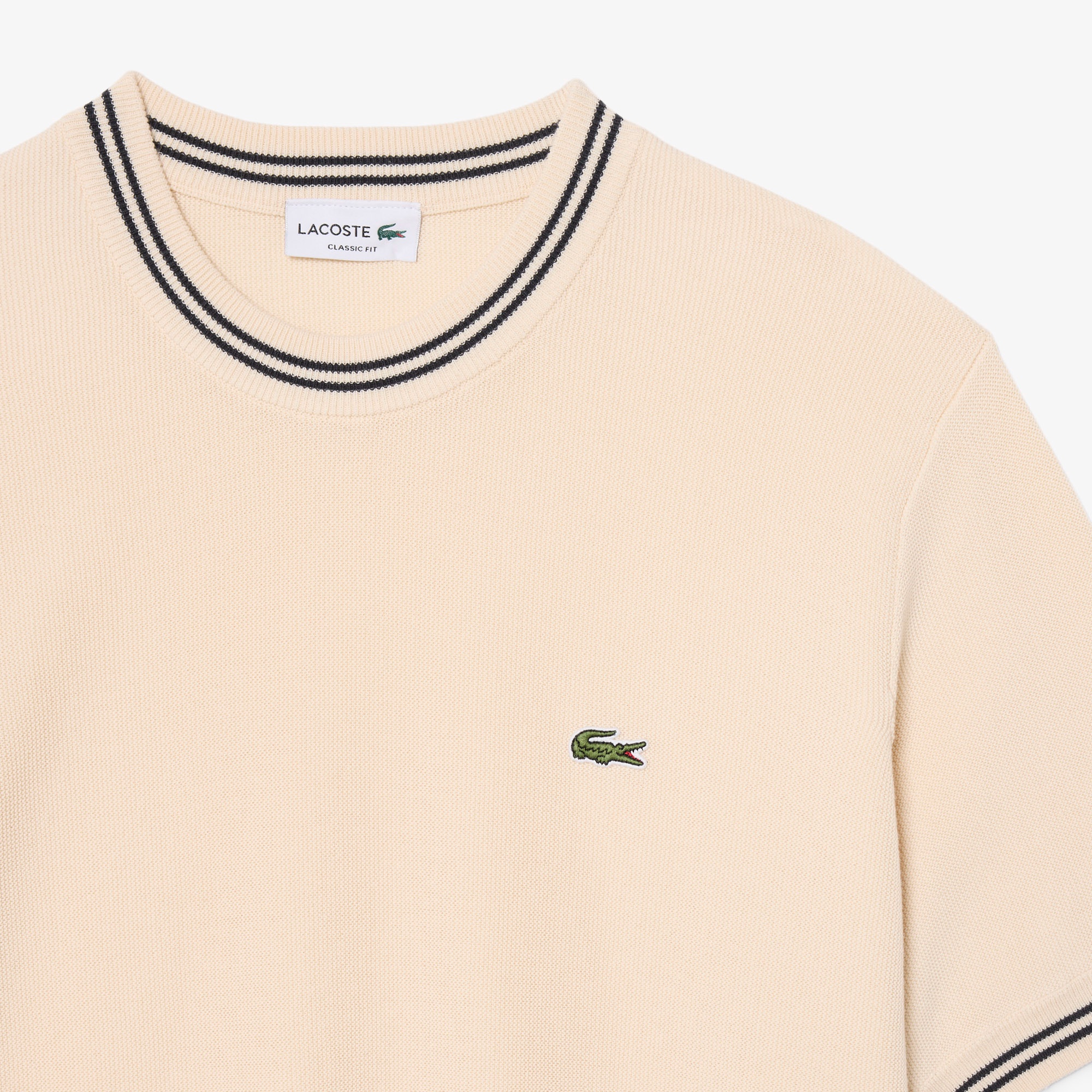 ラインリブニットTシャツ