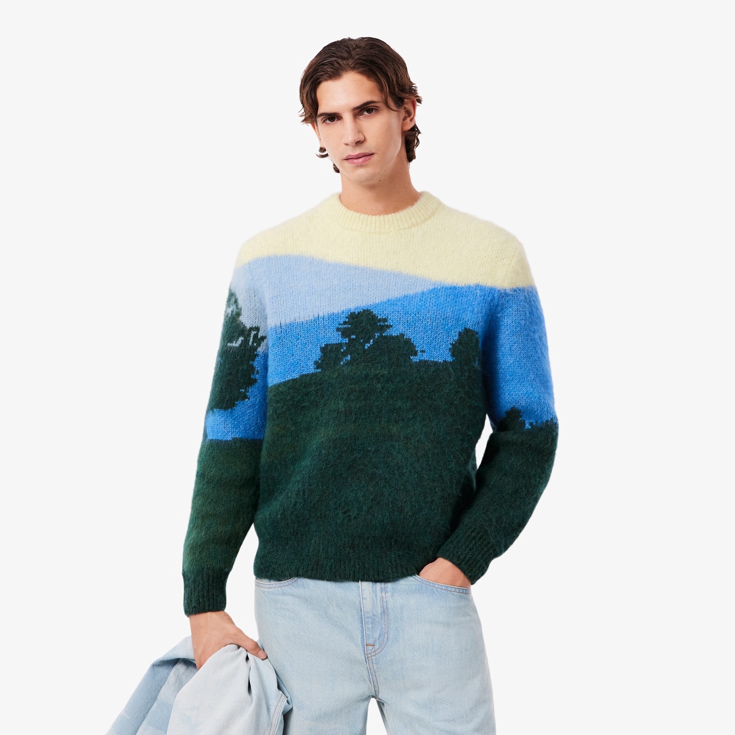 シャンタコランドスケープジャカードセーター