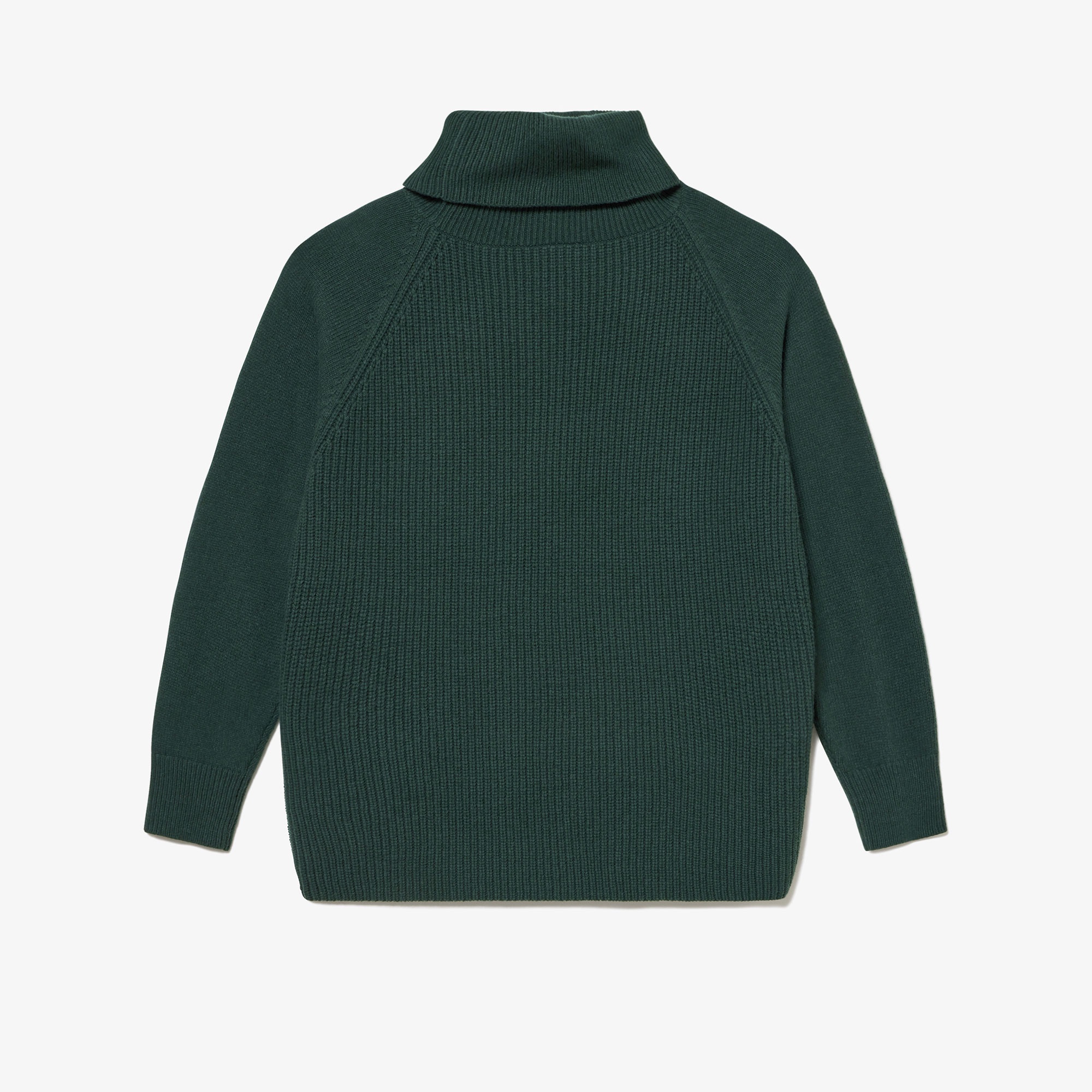 ミドルゲージタートルネックニットセーター