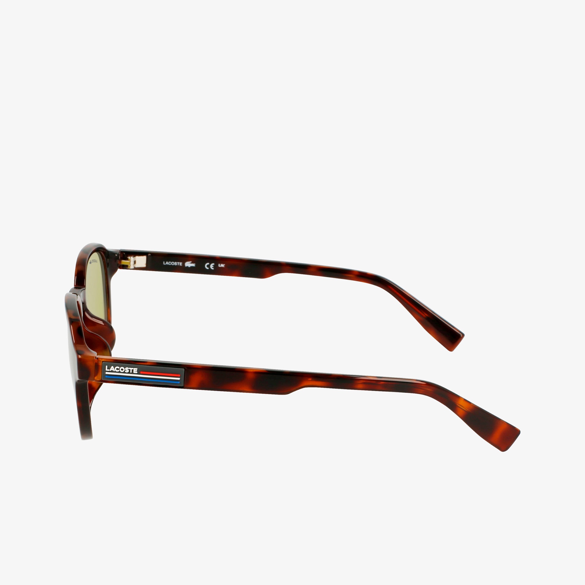 ボーダーテンプルウェリントンサングラス