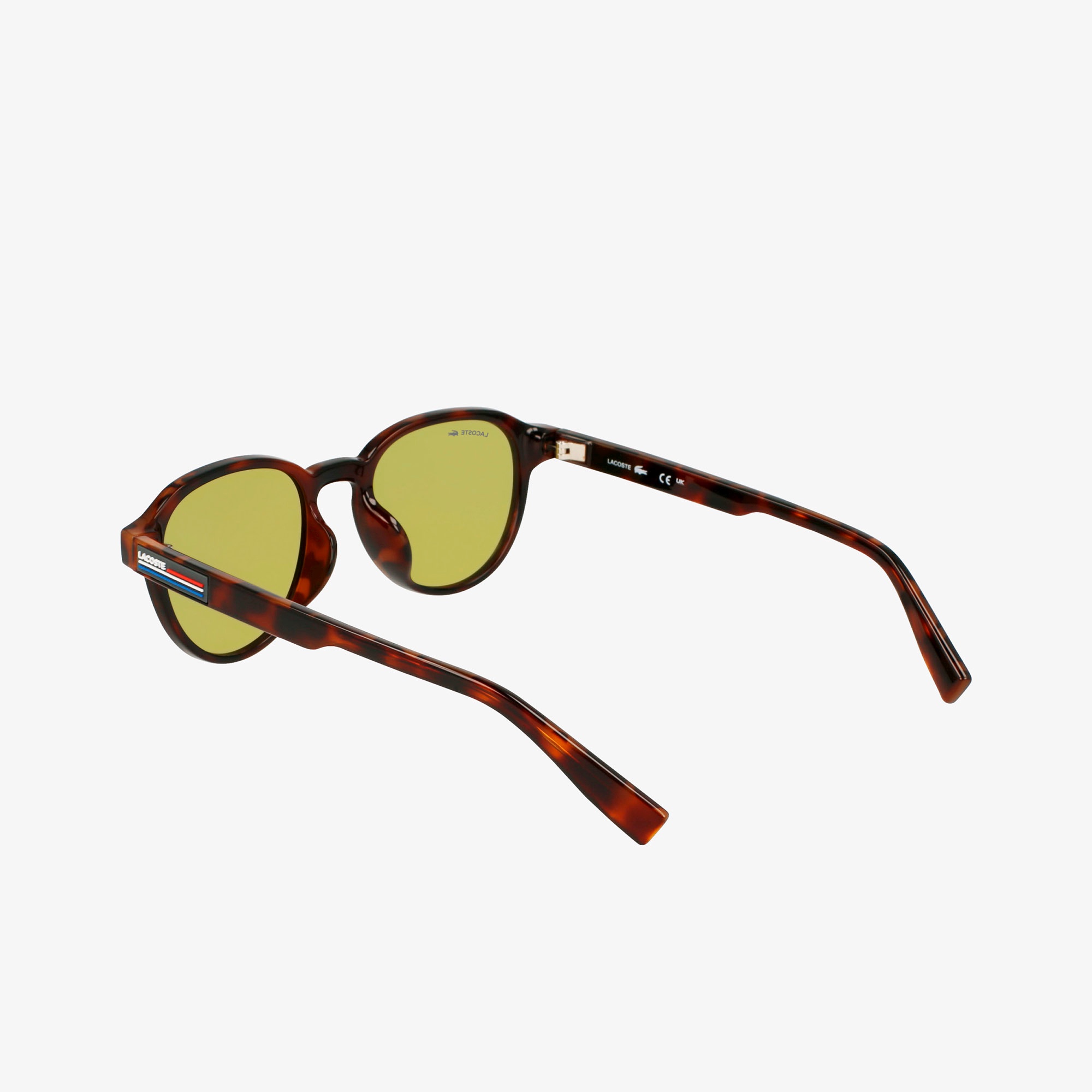 ボーダーテンプルウェリントンサングラス