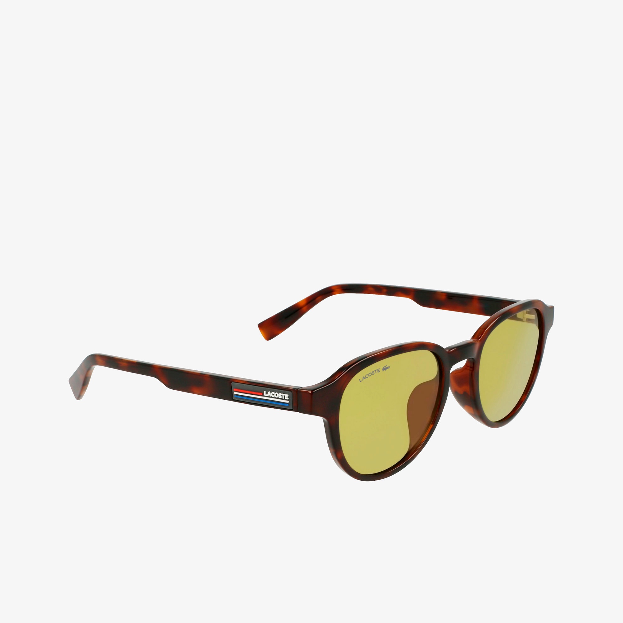 ボーダーテンプルウェリントンサングラス