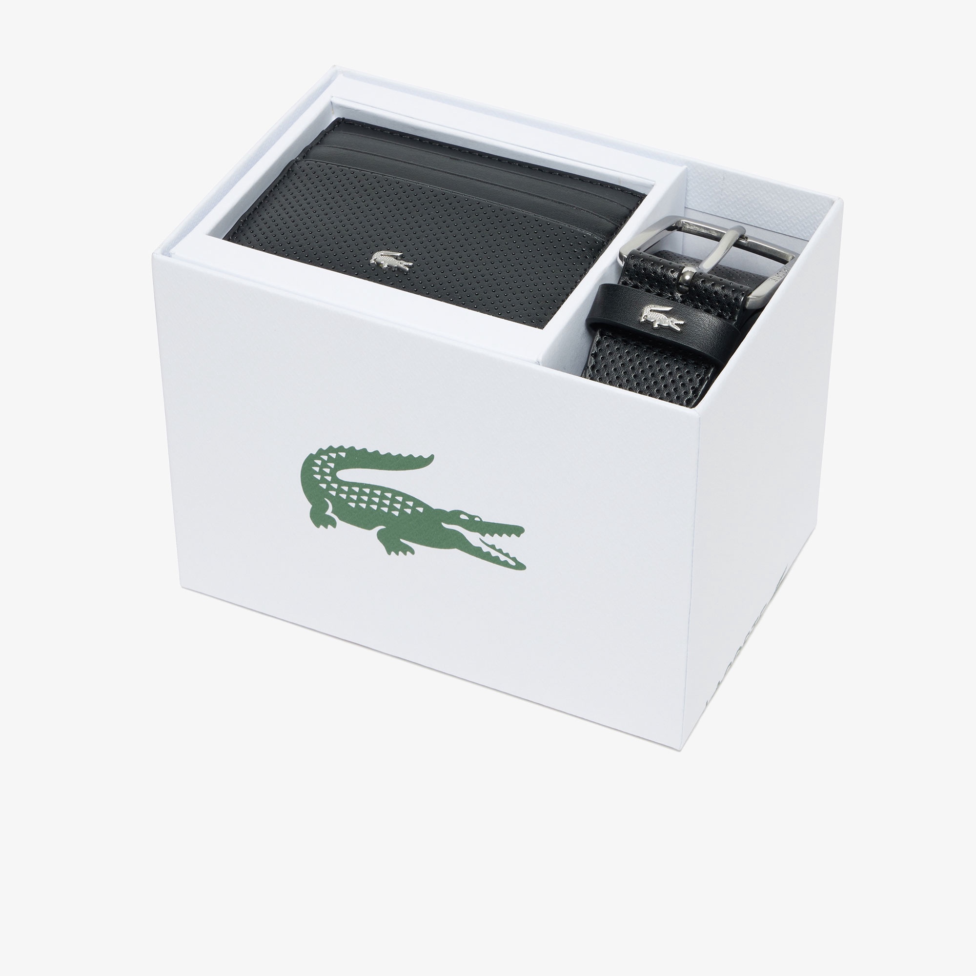 エレガンス レザーベルト＆カードホルダーセット