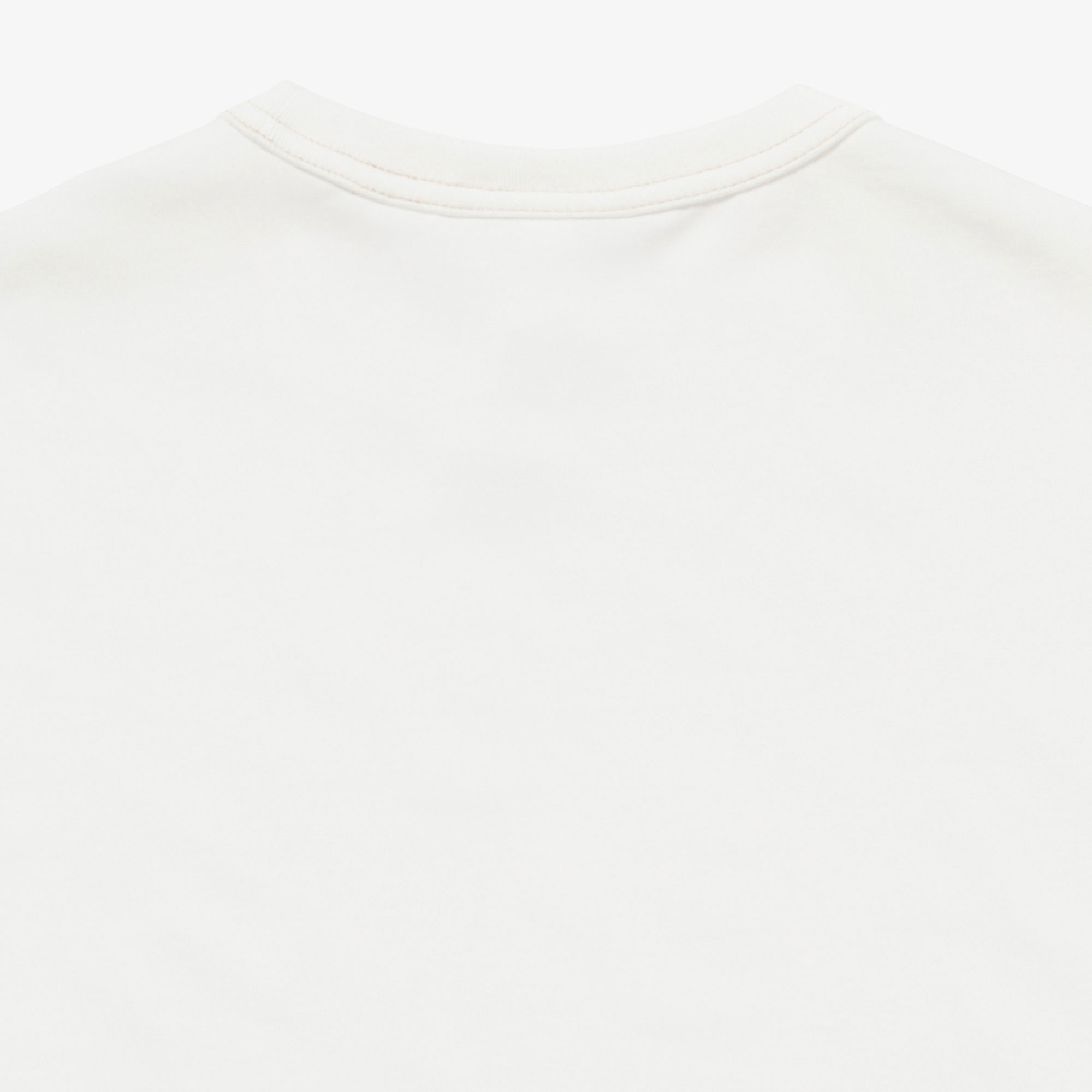 ヘビーウェイトコットンシングルジャージTシャツ