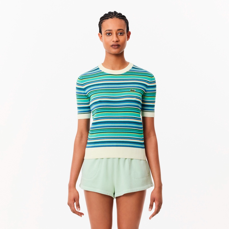 マルチカラーボーダーニットTシャツ AF6991 - ラコステ（LACOSTE）公式