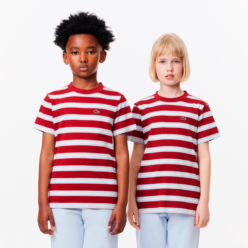 BOYS ボーダーTシャツ TJ7122L - ラコステ（LACOSTE）公式オンラインストア