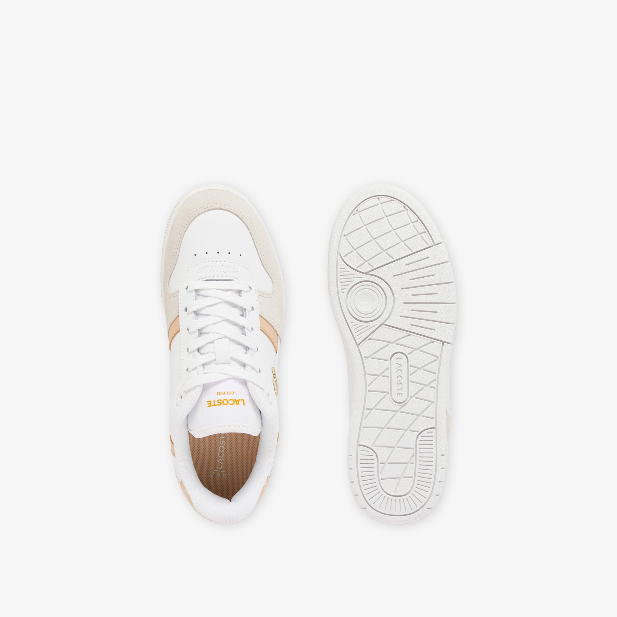 レディース T-CLIP SET 224 4 SFA