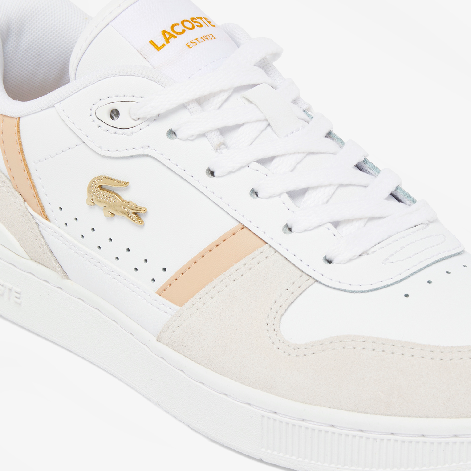 レディース T-CLIP SET 224 4 SFA