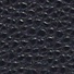ブルー - Q19