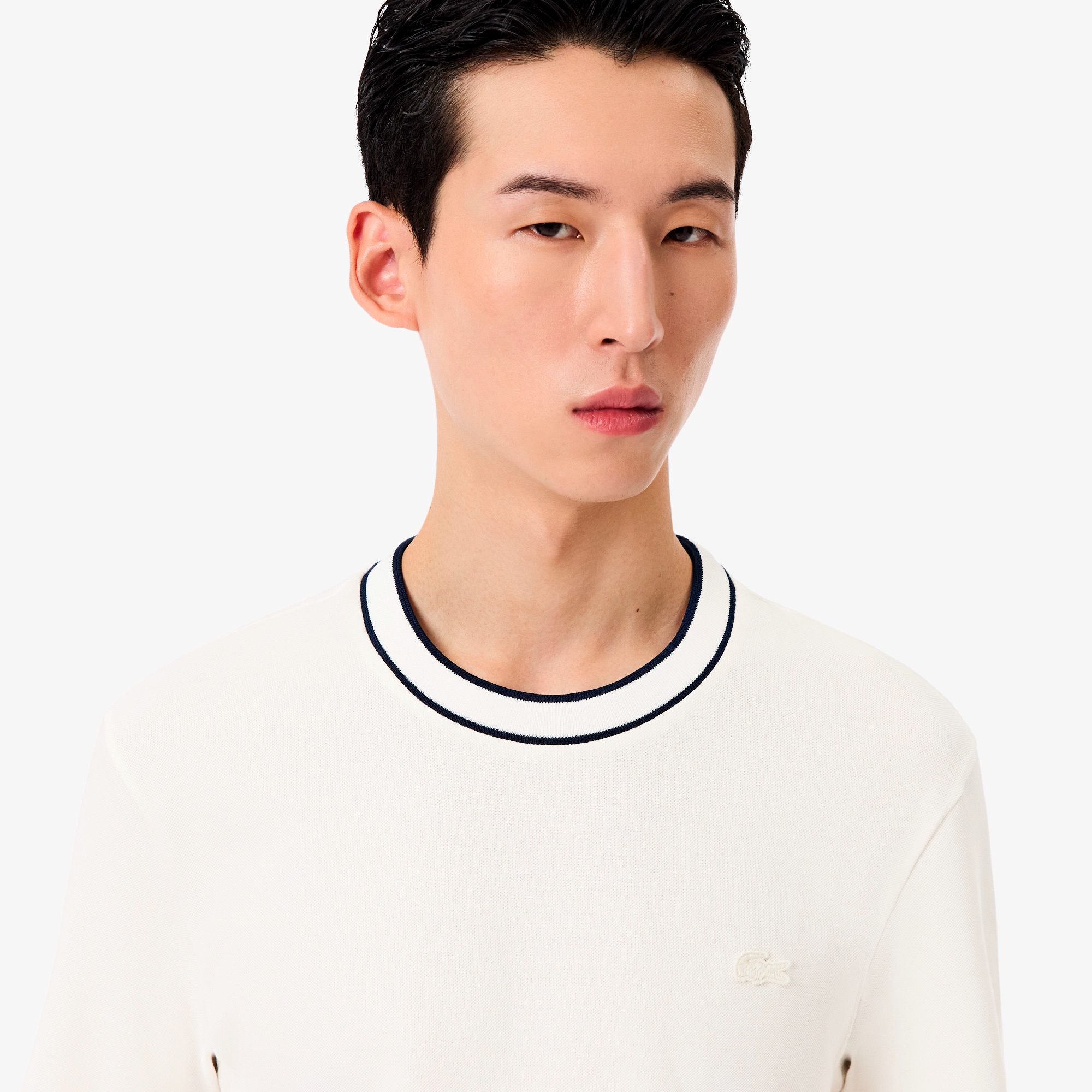 ラインドリブネック鹿の子地Tシャツ