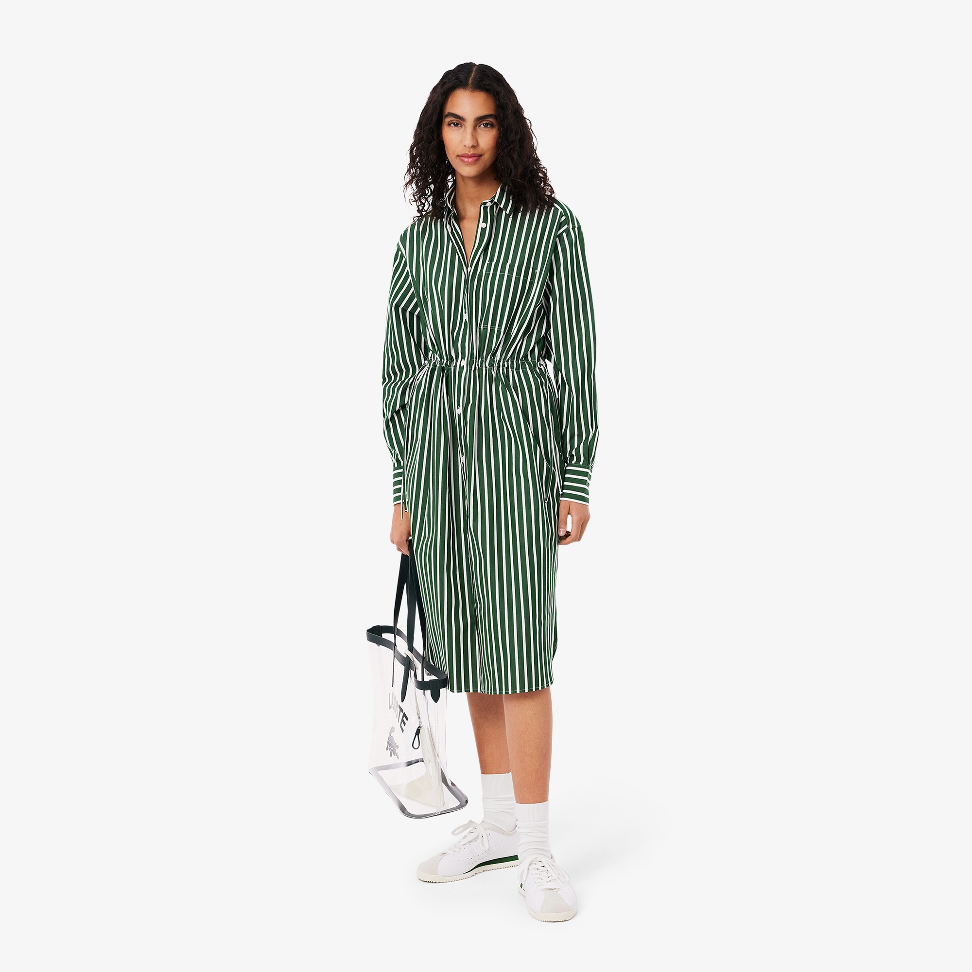ストライプシャツドレス EF2444 - ラコステ（LACOSTE）公式