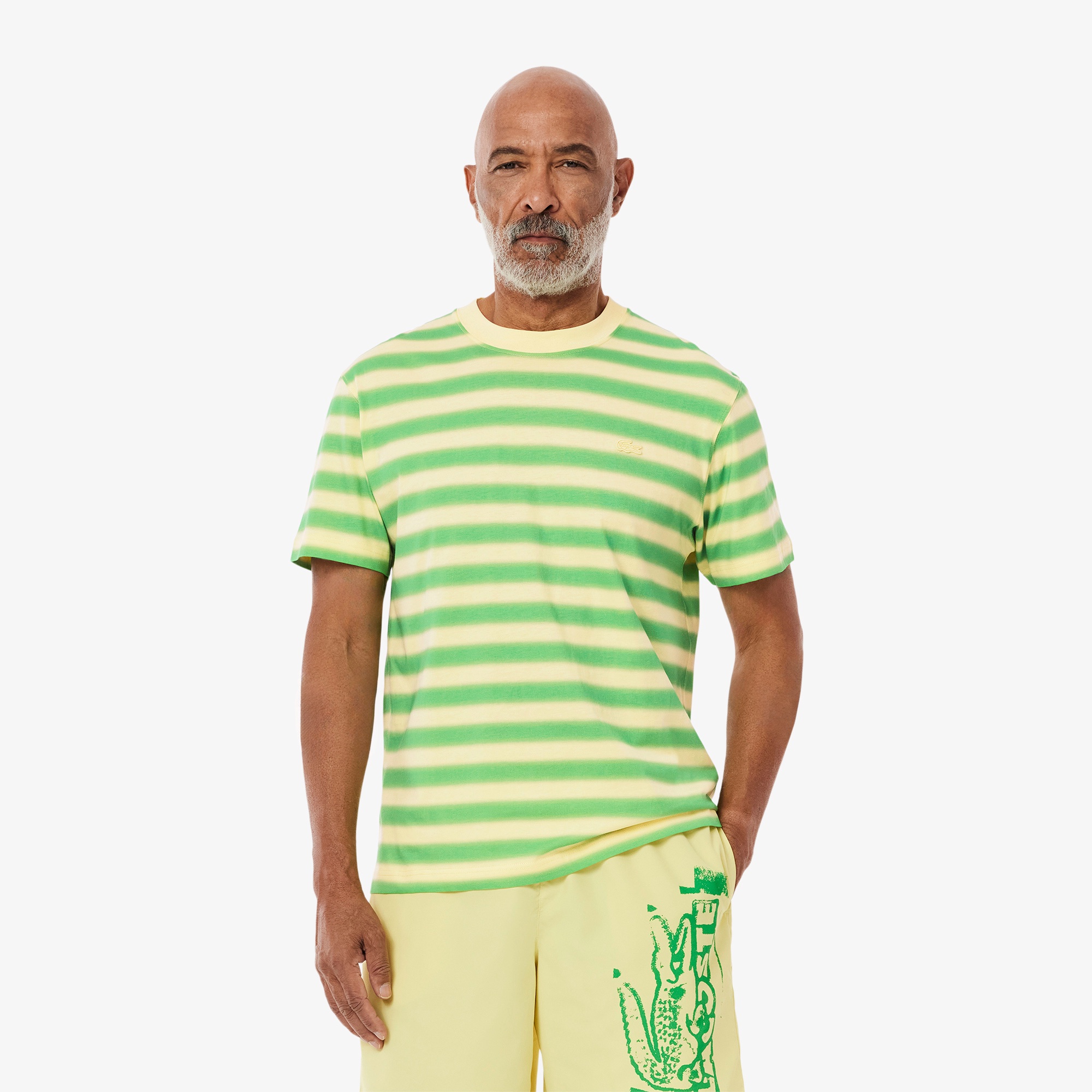 グラデーションボーダーTシャツ TH0290 - ラコステ（LACOSTE