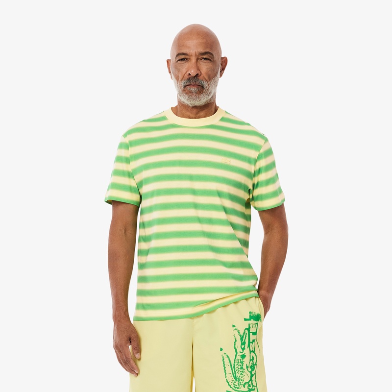 グラデーションボーダーTシャツ TH0290 - ラコステ（LACOSTE）公式