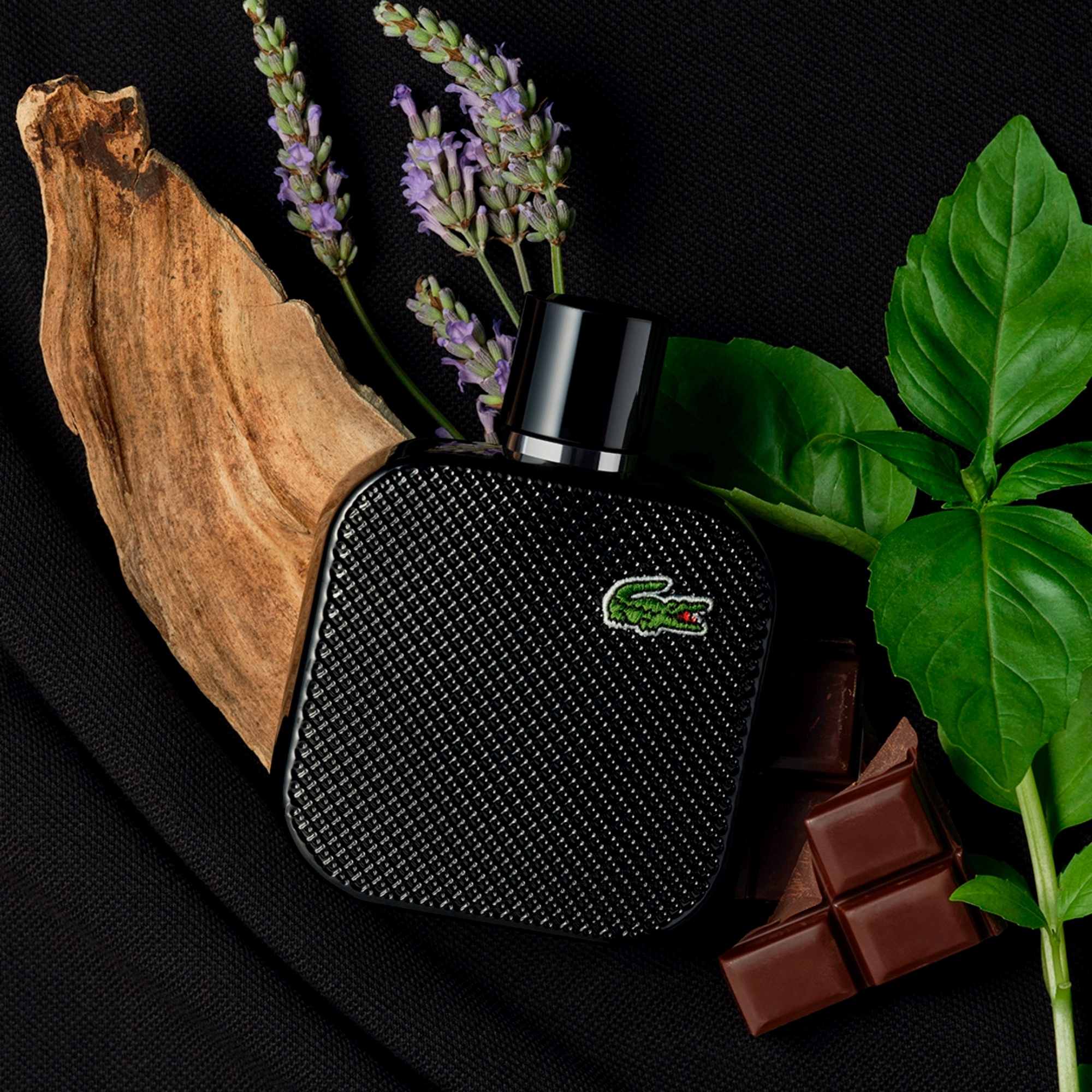 ラコステ L.12.12 ノワール オードトワレ 50mL