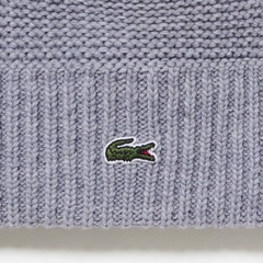 LACOSTE × GOLFICKERS ポロシャツ PH03GFJ - ラコステ（LACOSTE）公式