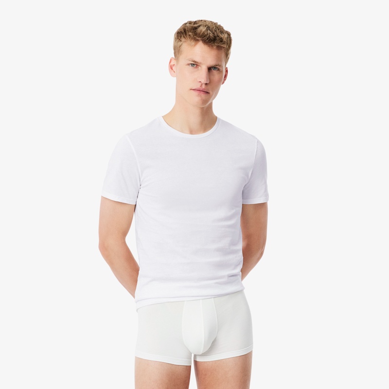 エッセンシャルTシャツ3Pセット TH9007 - ラコステ（LACOSTE）公式
