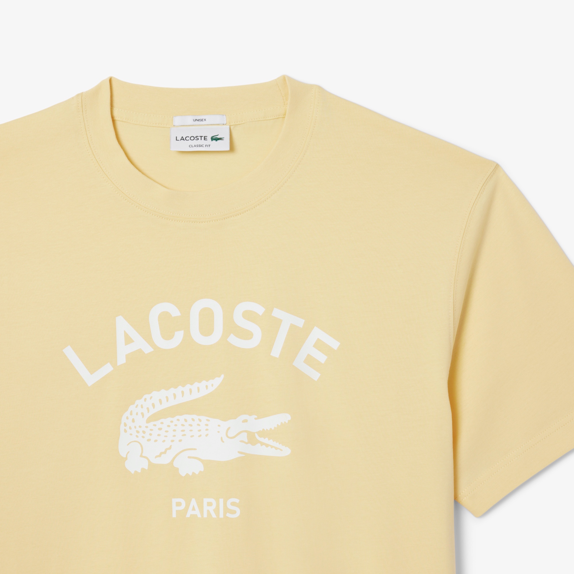 アーチネームカレッジロゴTシャツ