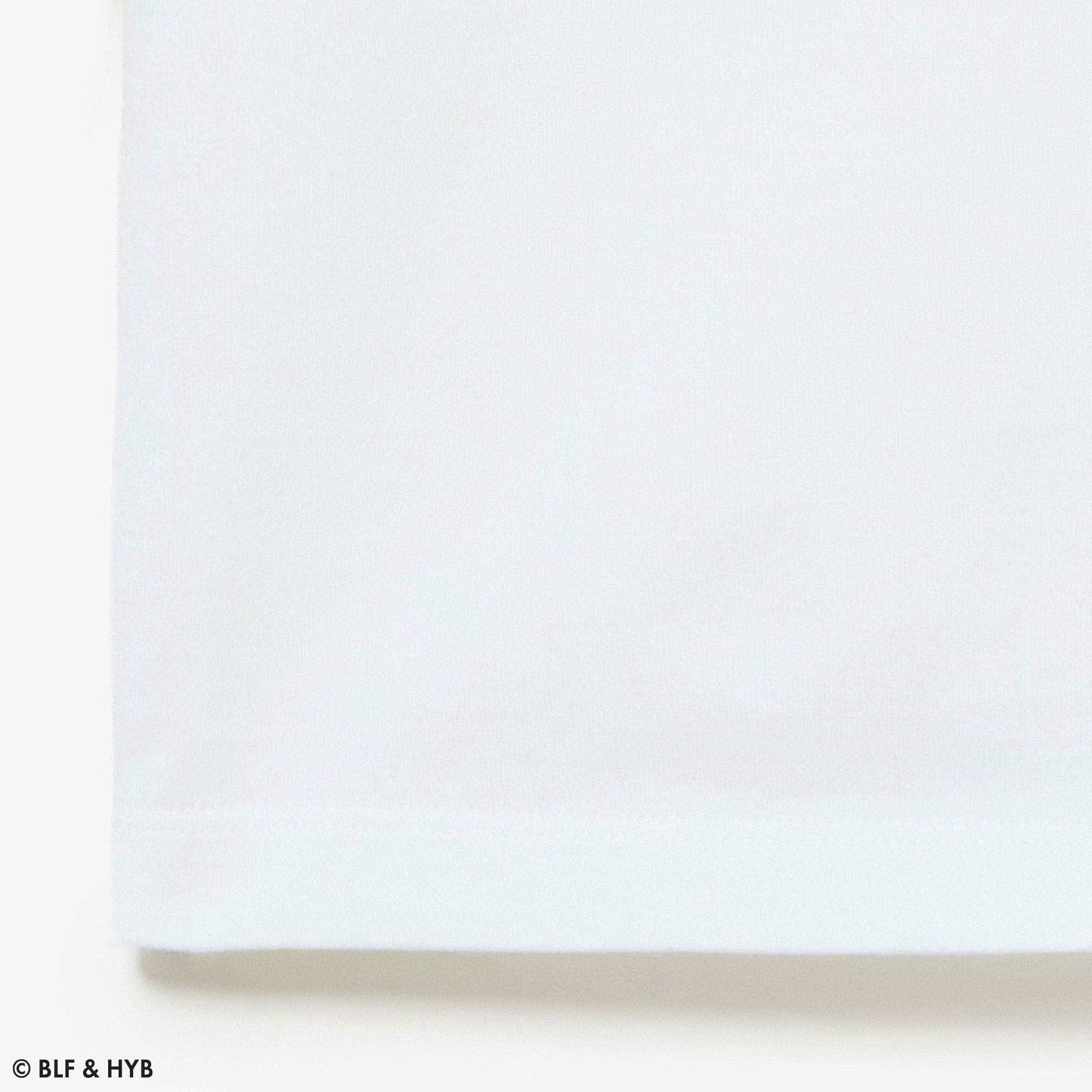 発泡プリントクロップド Tシャツ