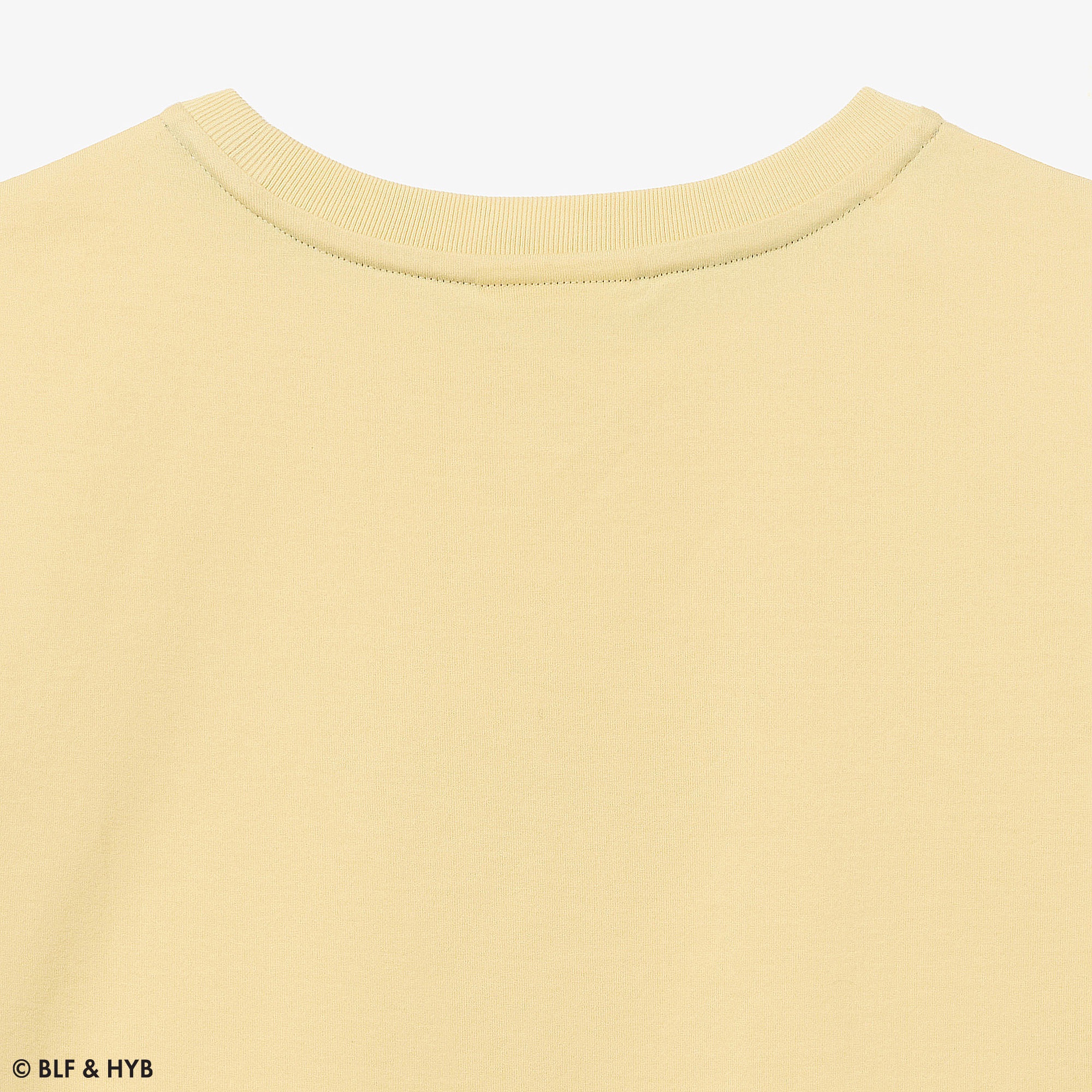 発泡プリントクロップド Tシャツ