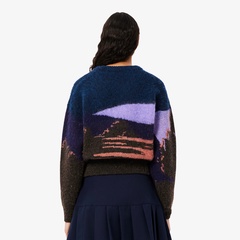 グラデーションニットセーター AF4176 - ラコステ（LACOSTE）公式