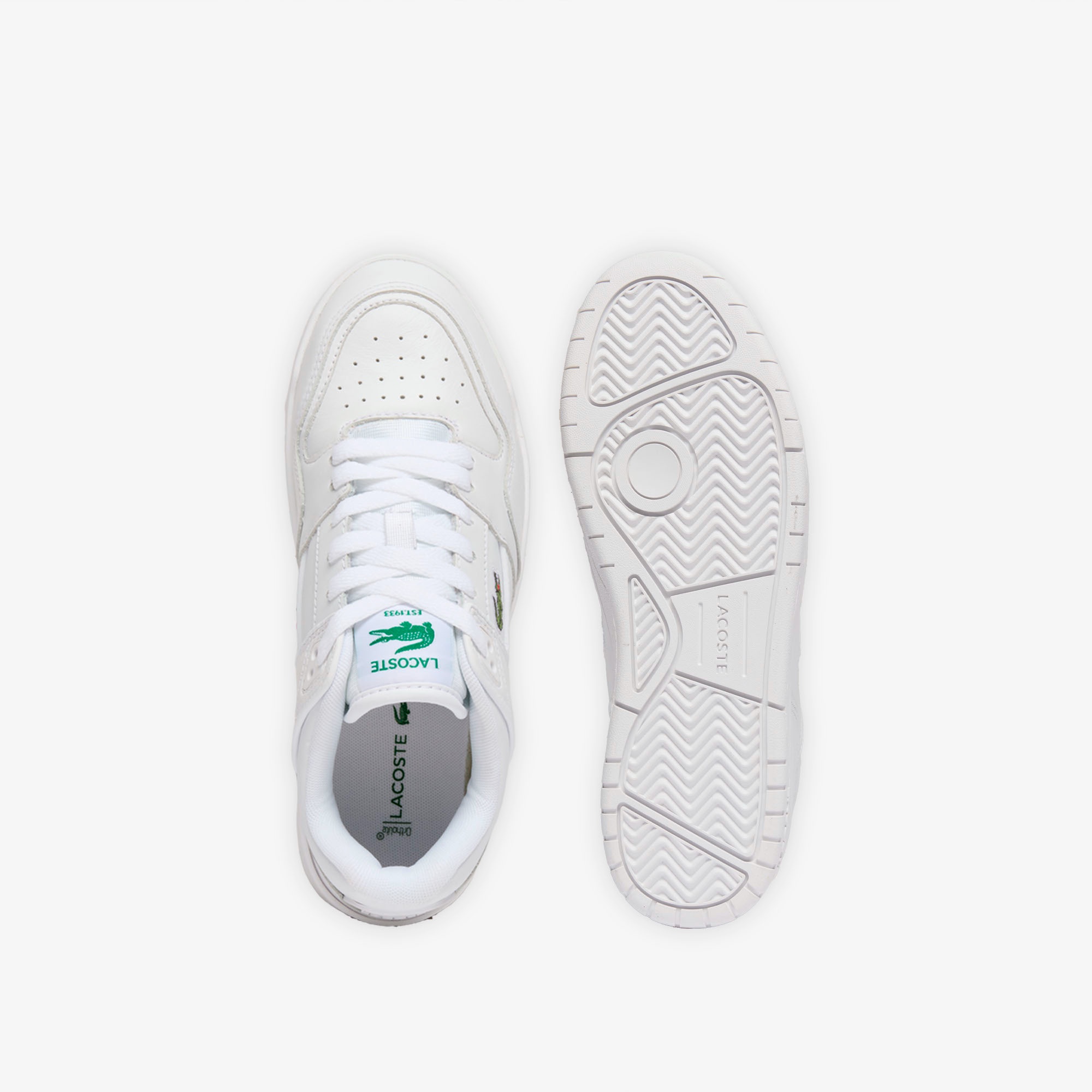 レディース COURTCAGE SET 126 5 SFA