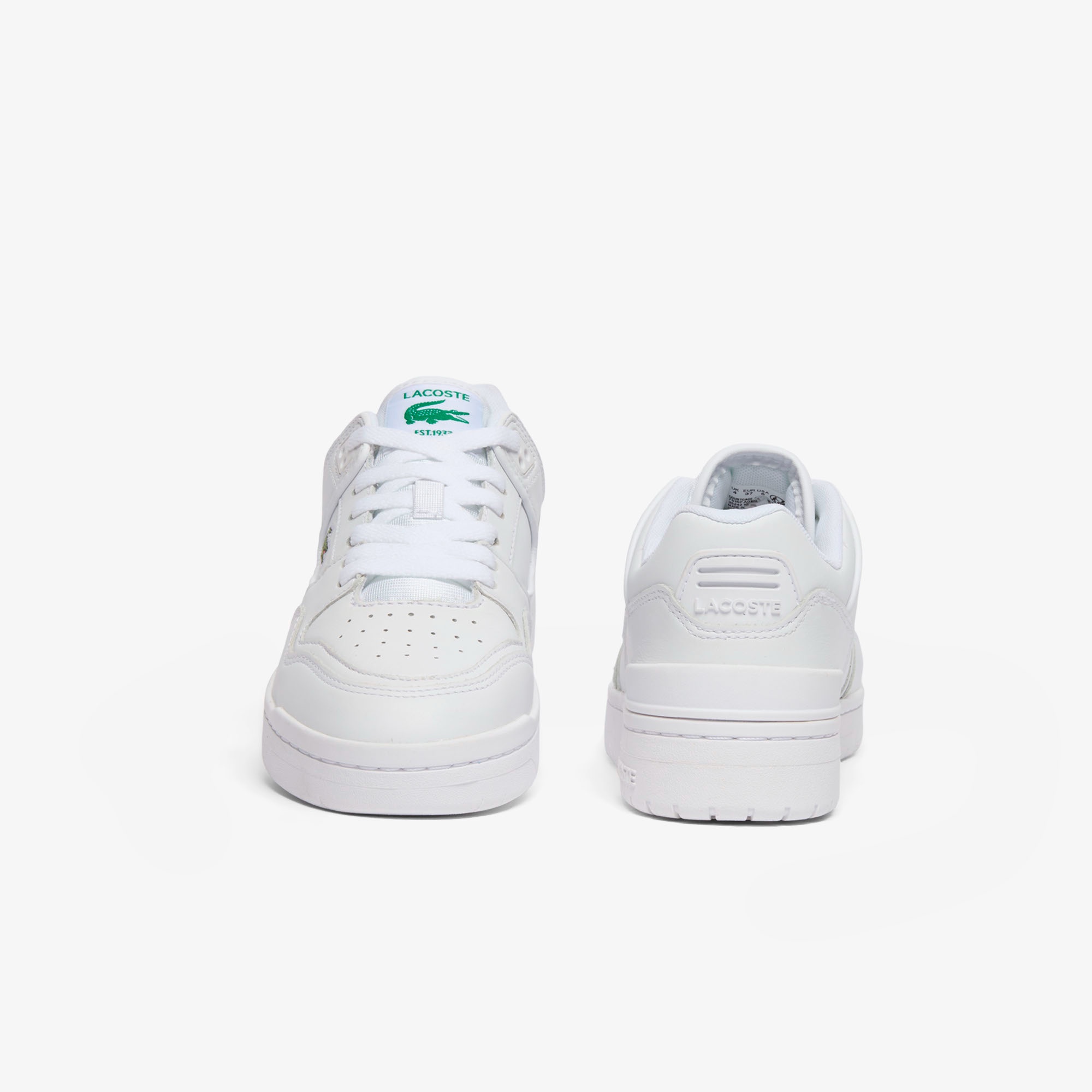 レディース COURTCAGE SET 126 5 SFA