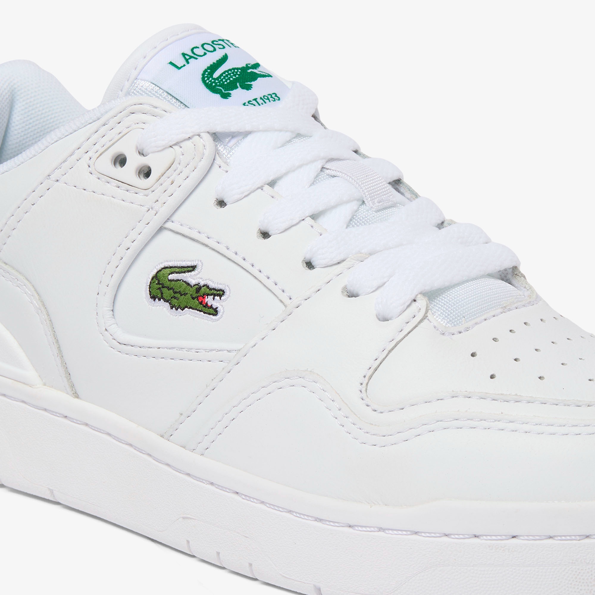 レディース COURTCAGE SET 126 5 SFA