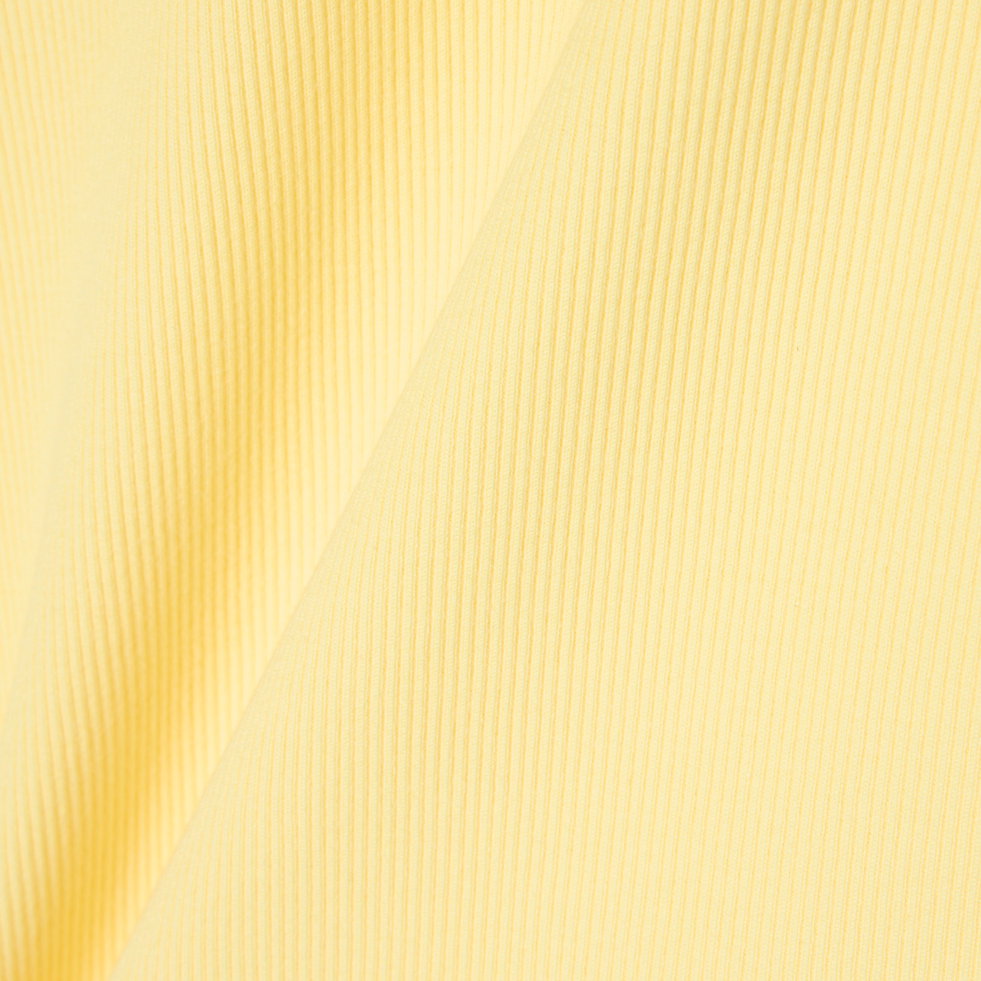 タイトフィットリブニットTシャツ