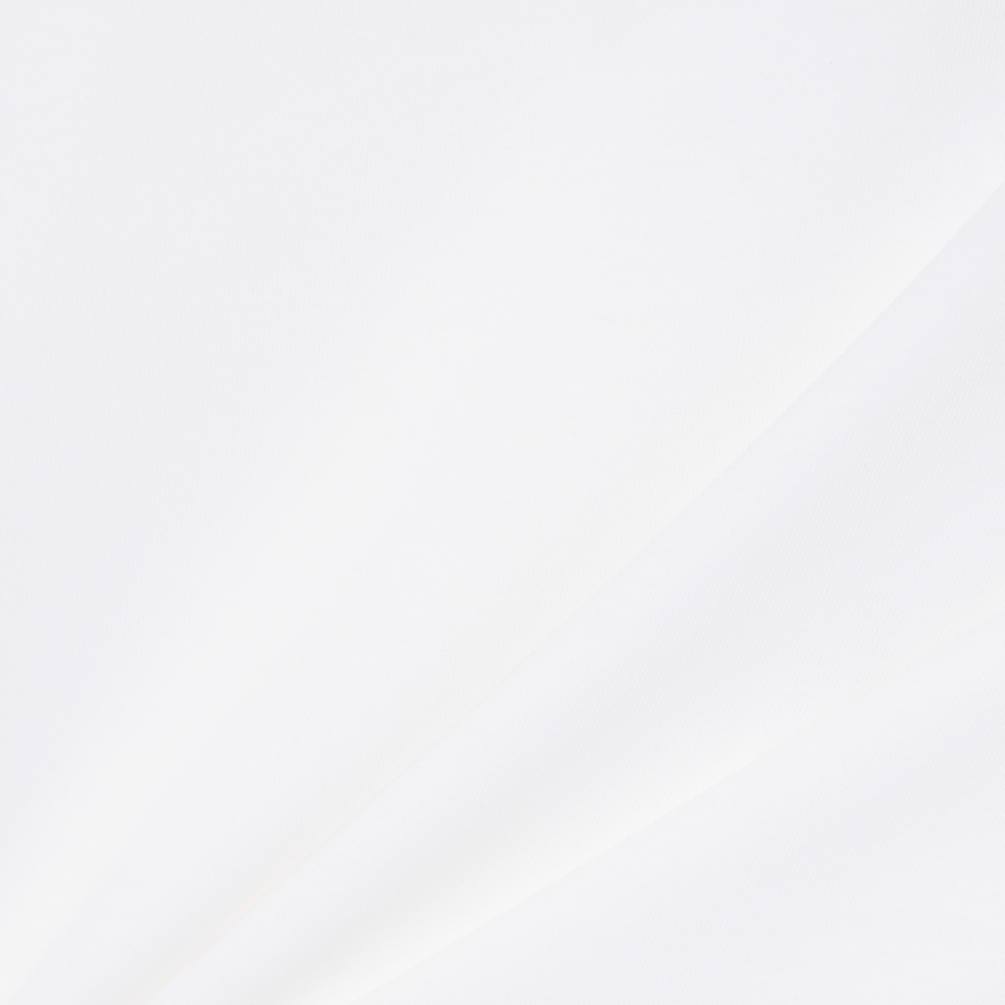 ルネ・ラコステ シグネチャー&ラケットプリントTシャツ