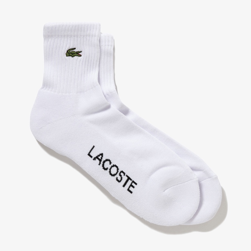 ワニロゴパッチリブソックス RA484J - ラコステ（LACOSTE）公式