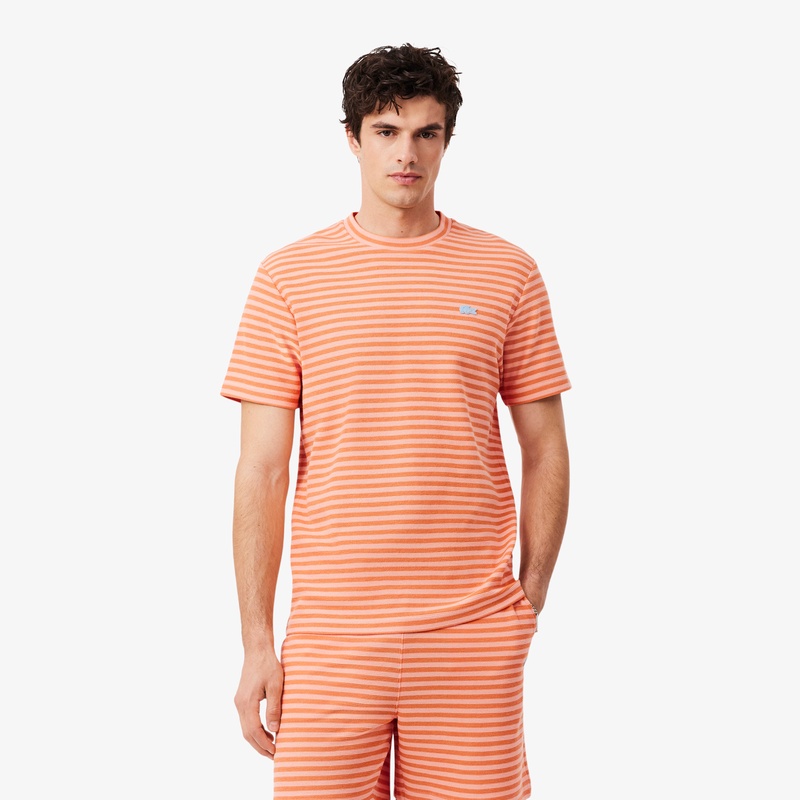ニットライクボーダーTシャツ TH2193 - ラコステ（LACOSTE）公式