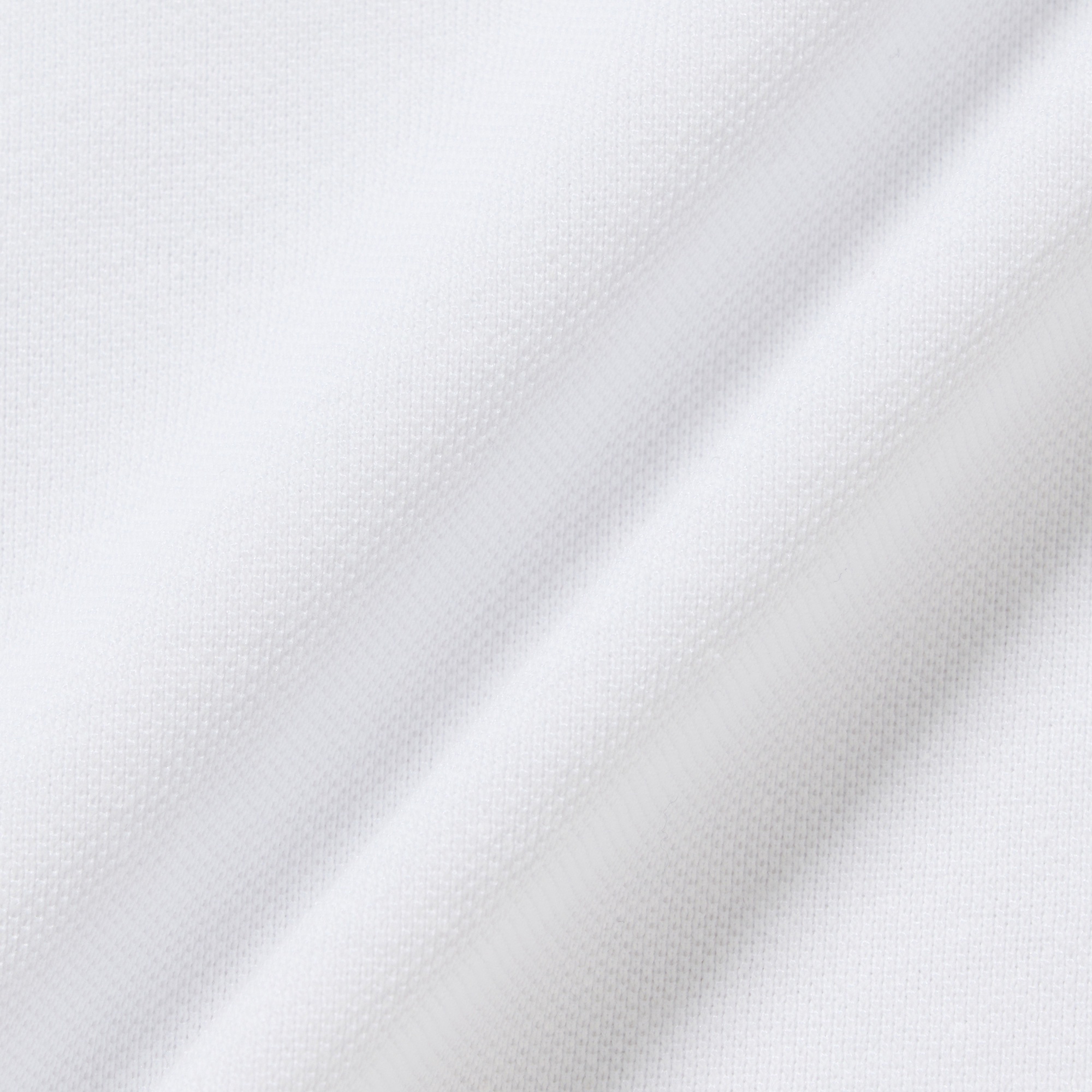 LACOSTE × GOLFICKERS ポロシャツ