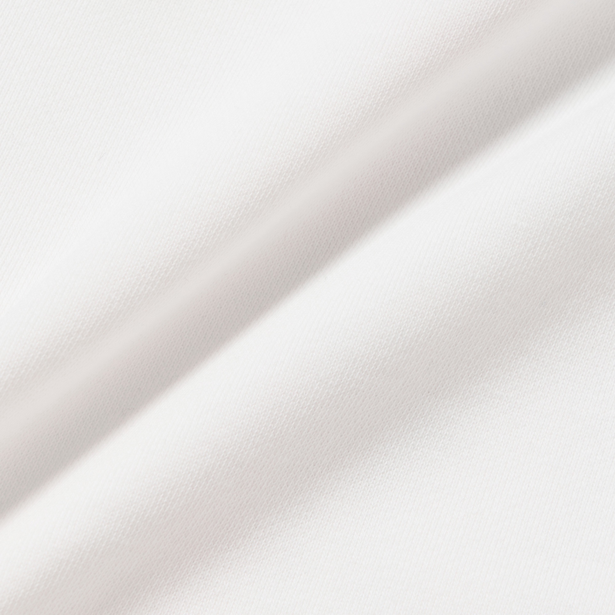 LACOSTE × GOLFICKERS フーディー