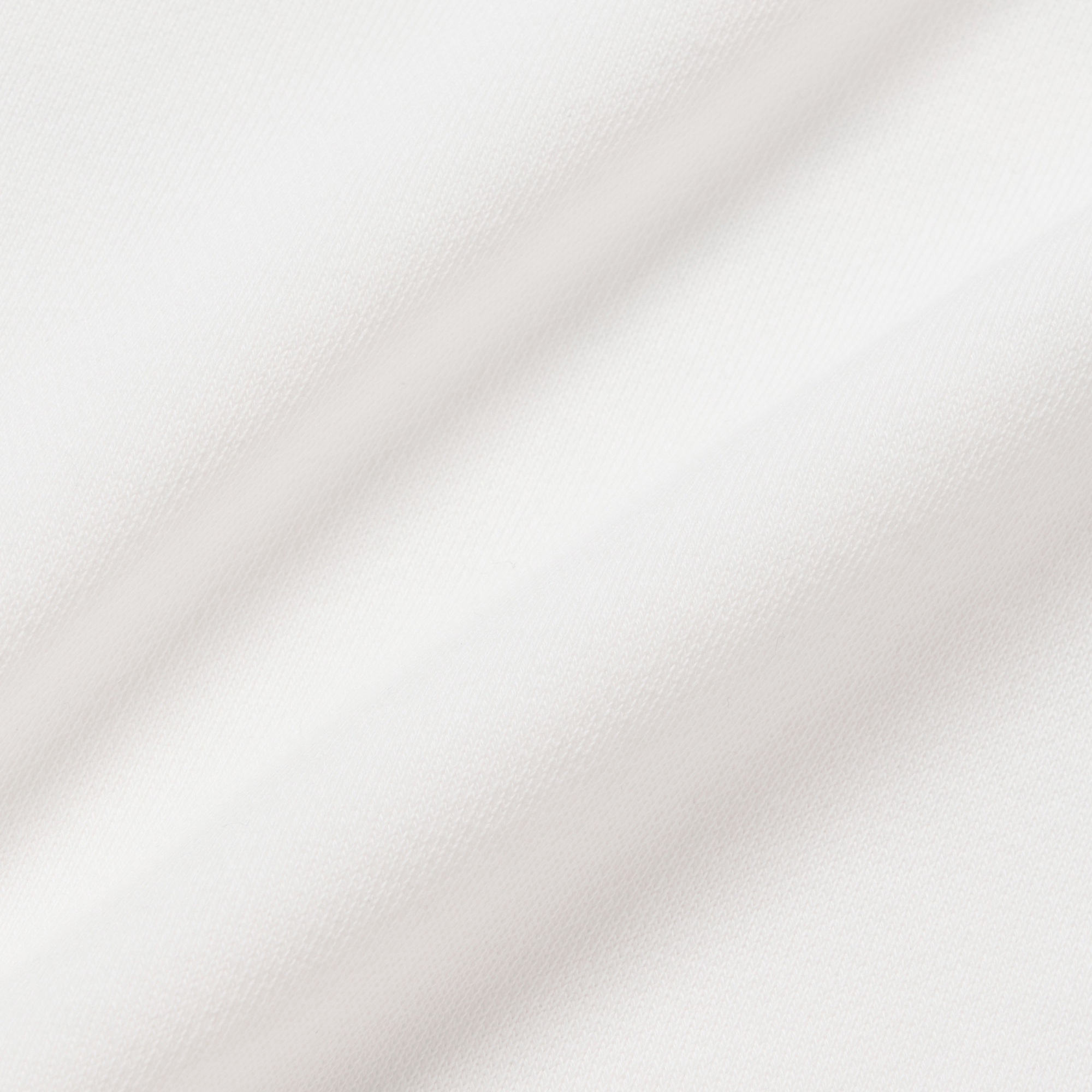 LACOSTE × GOLFICKERS スウェット