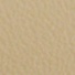 ベージュ - C87