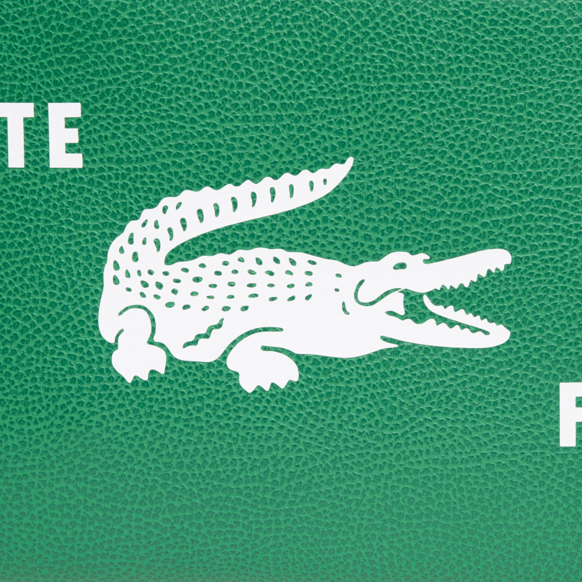 『SS26 Fashion Show』 プリントレザージムバッグ