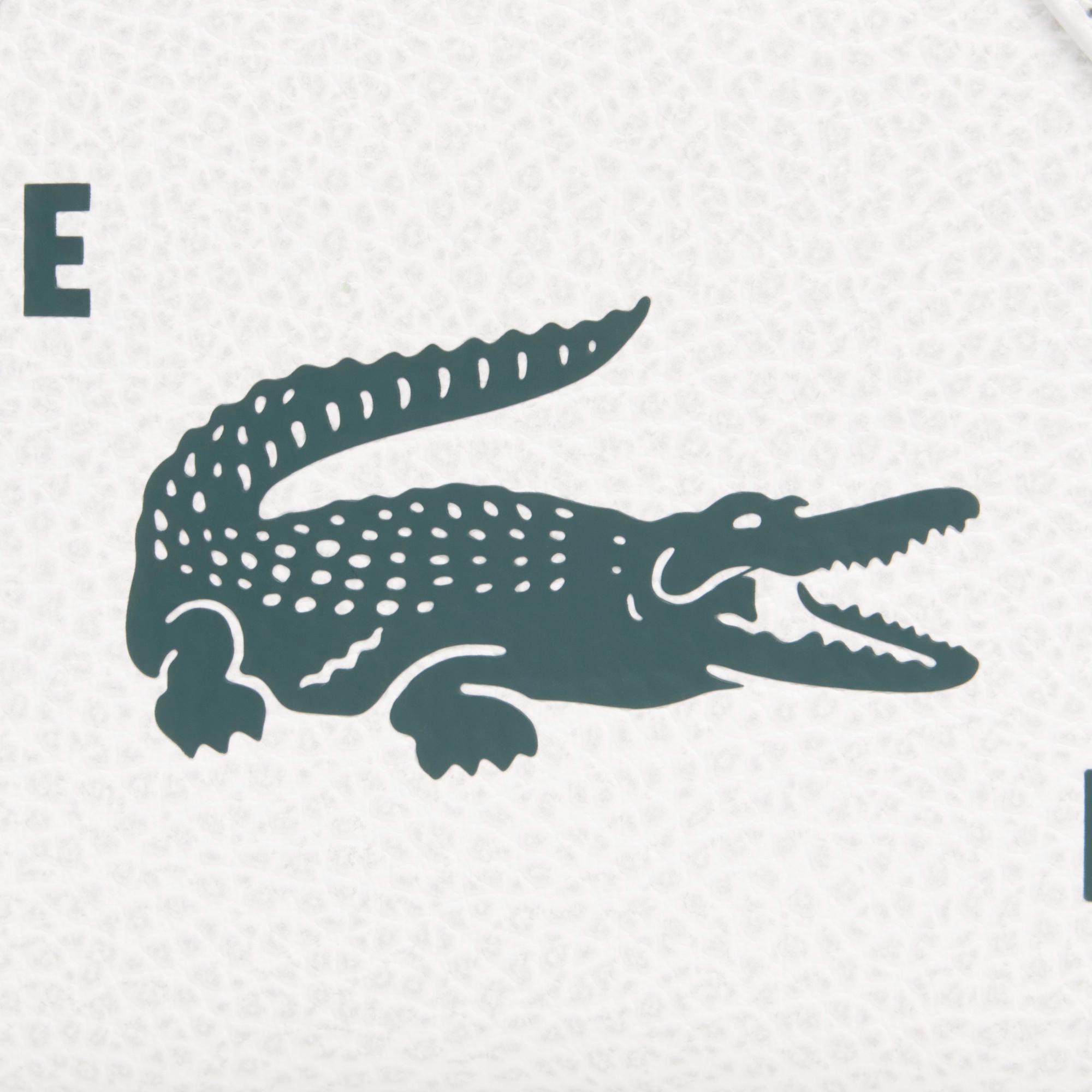 『SS26 Fashion Show』 プリントレザースモールジムバッグ