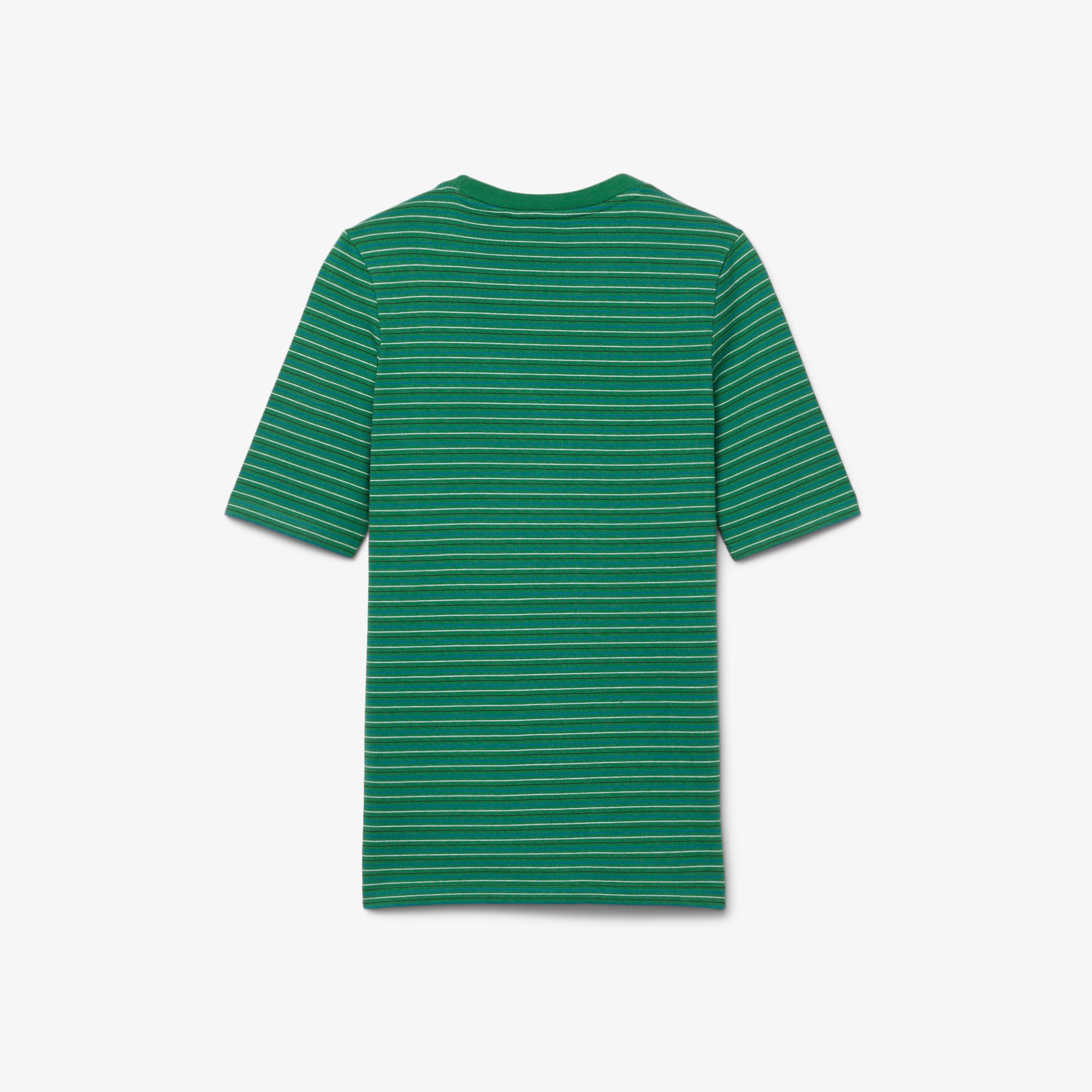 『SS26 Fashion Show』 ボーダーヘビージャージTシャツ