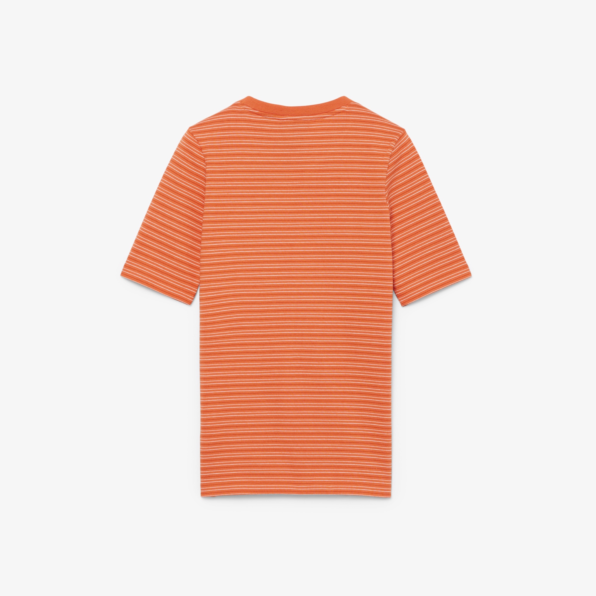 『SS26 Fashion Show』 ボーダーヘビージャージTシャツ